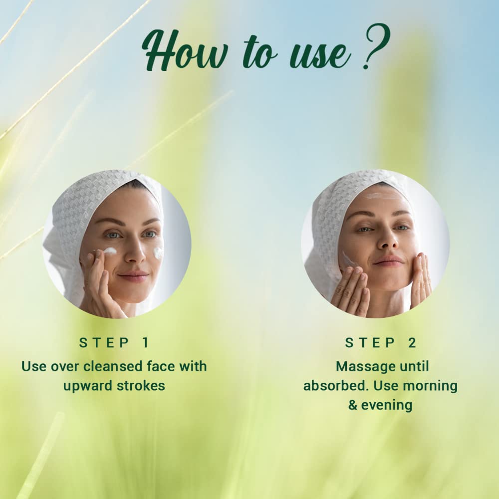 Biotique Wheat Germ Anti- Ageing Night Cream 50g